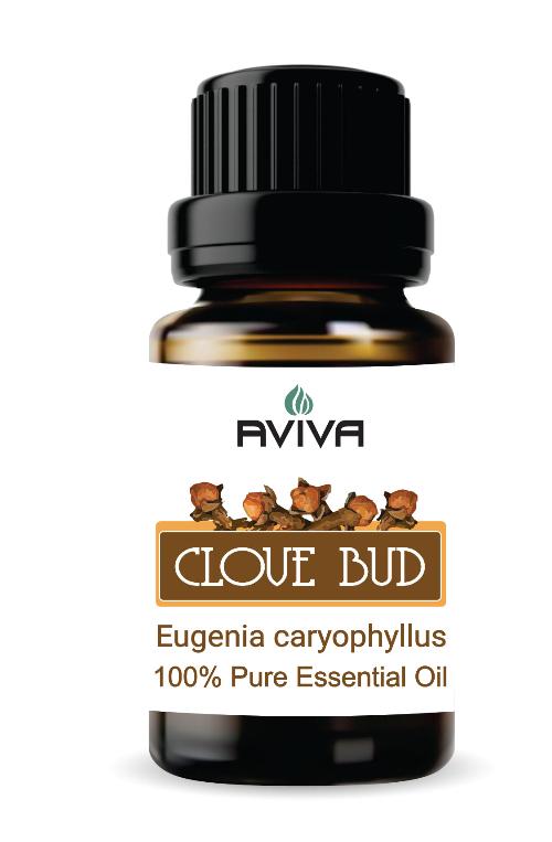 Clove Bud Essential Oil  10ml Aviva