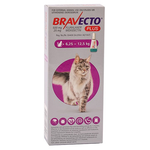 Bravecto Plus For Cats Large 500mg 1