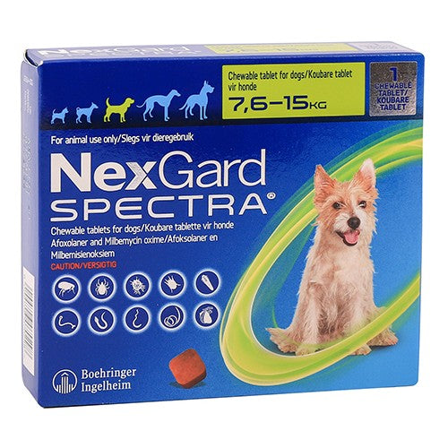 Nexgard Spectra Chew Tablets Medium Dog 1