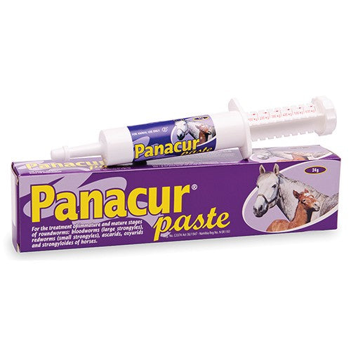 Panacur Paste 24g